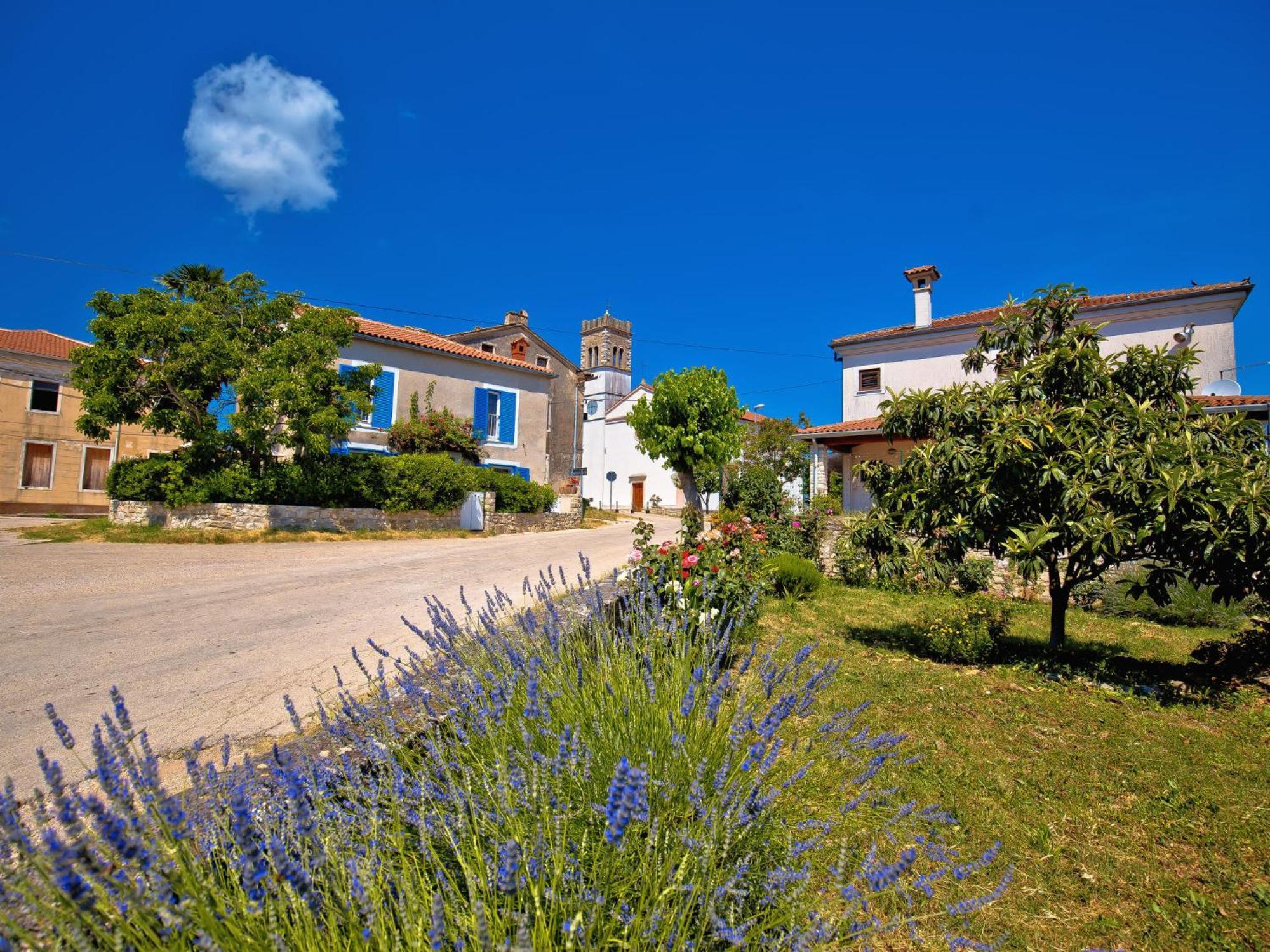 Holiday Home Villa Lucky Brtonigla Exterior foto
